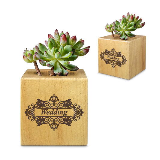 Custom Mini Wooden Planter — 2.7 in Square — supplier reference image